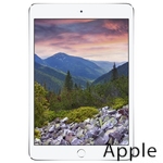 Ремонт Apple iPad mini 2 в Нижнем Новгороде