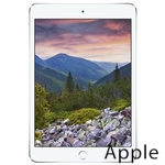 Ремонт Apple iPad mini 3 в Нижнем Новгороде