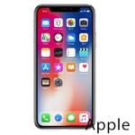 Ремонт iPhone X(10) в Нижнем Новгороде